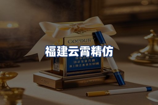福建云霄精仿